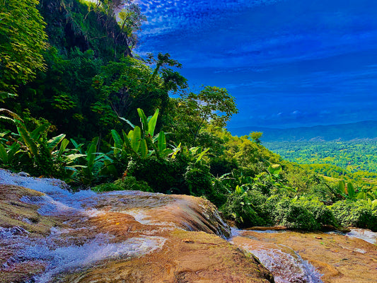 nature pic